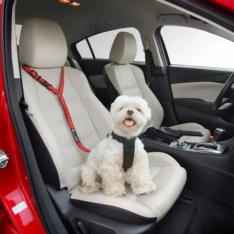 (🔥🎁2024Hot Sale🎁 49% OFF) - Adjustable Car Dog Leash (BUY 4 Free Shipping)
