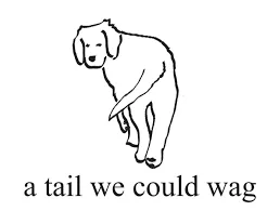 ATWCW At the Beach Nantucket - Mayan Artisan-Handmade Pet Leash