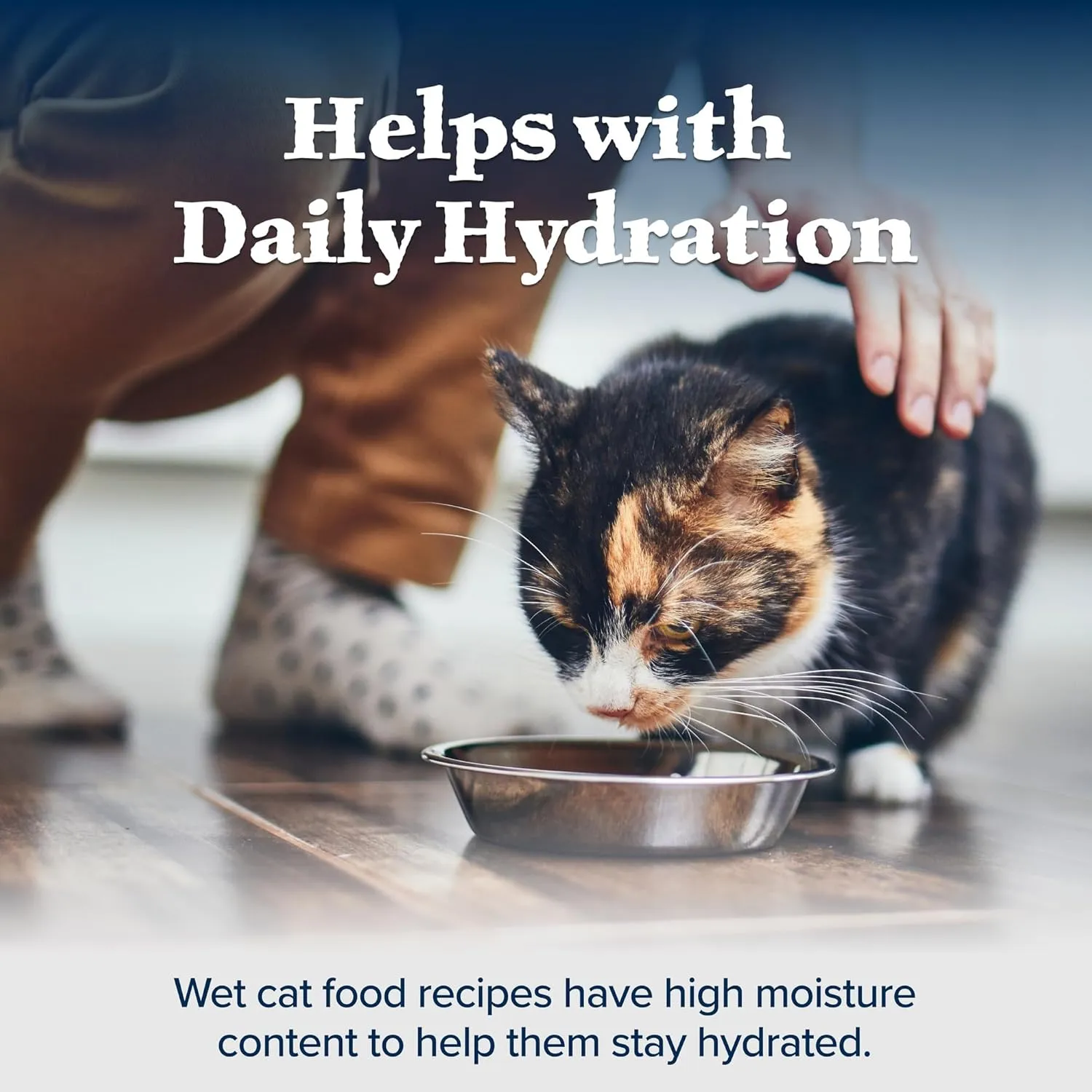 Blue Buffalo Wilderness High-Protein Grain-Free Wet Food For Adult Cats 7 , Chicken Recipe, 5.5-oz., 24-count