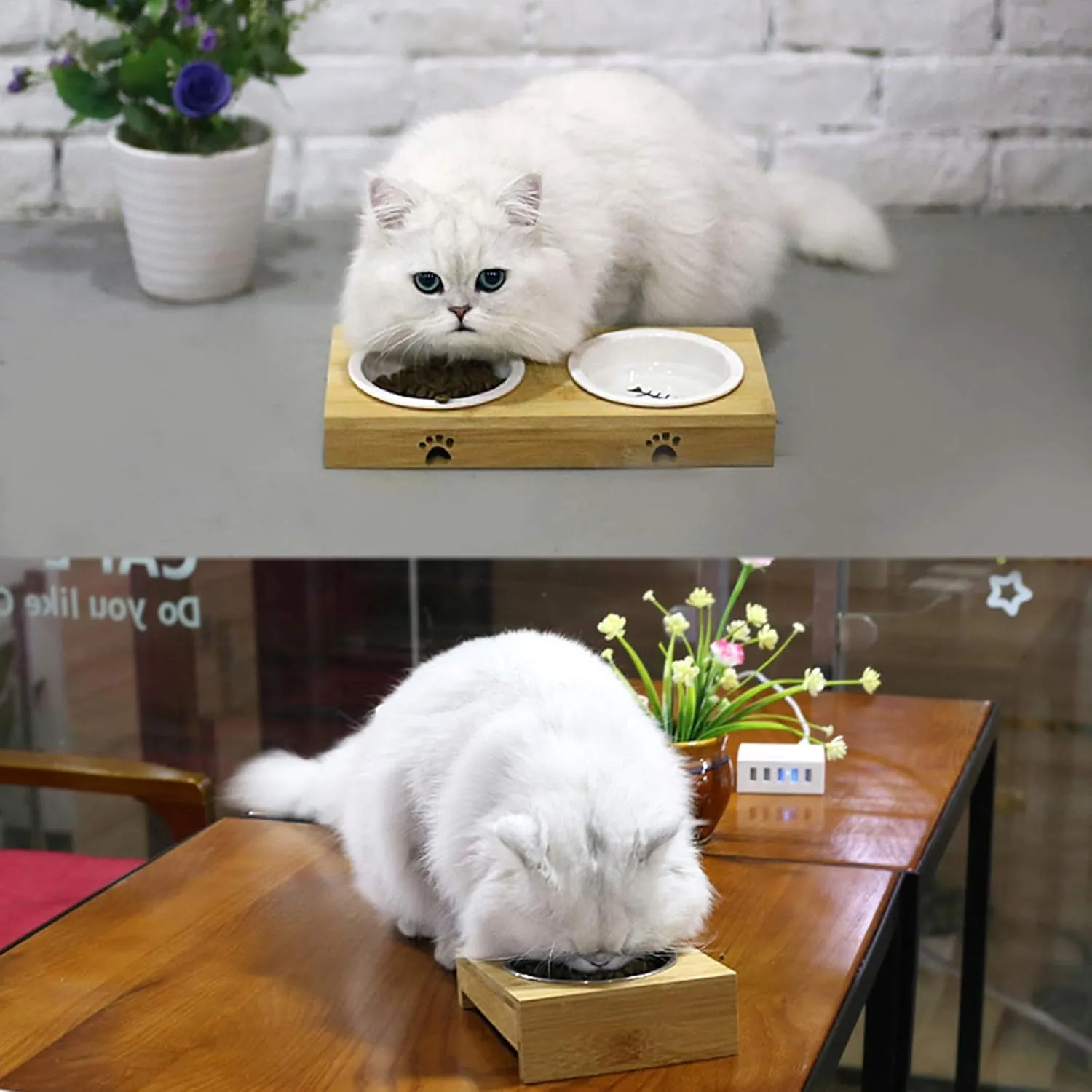 Cat Bowls,Elevated Bamboo Cat&Puppy Bowl for Food and Water,Raised Dog&Cat Feeder with Bamboo Stand with Stainless Steel/Ceramic Bowls,Cat Dishes Feeding Bowls,Anti-Slip Tilted Station
