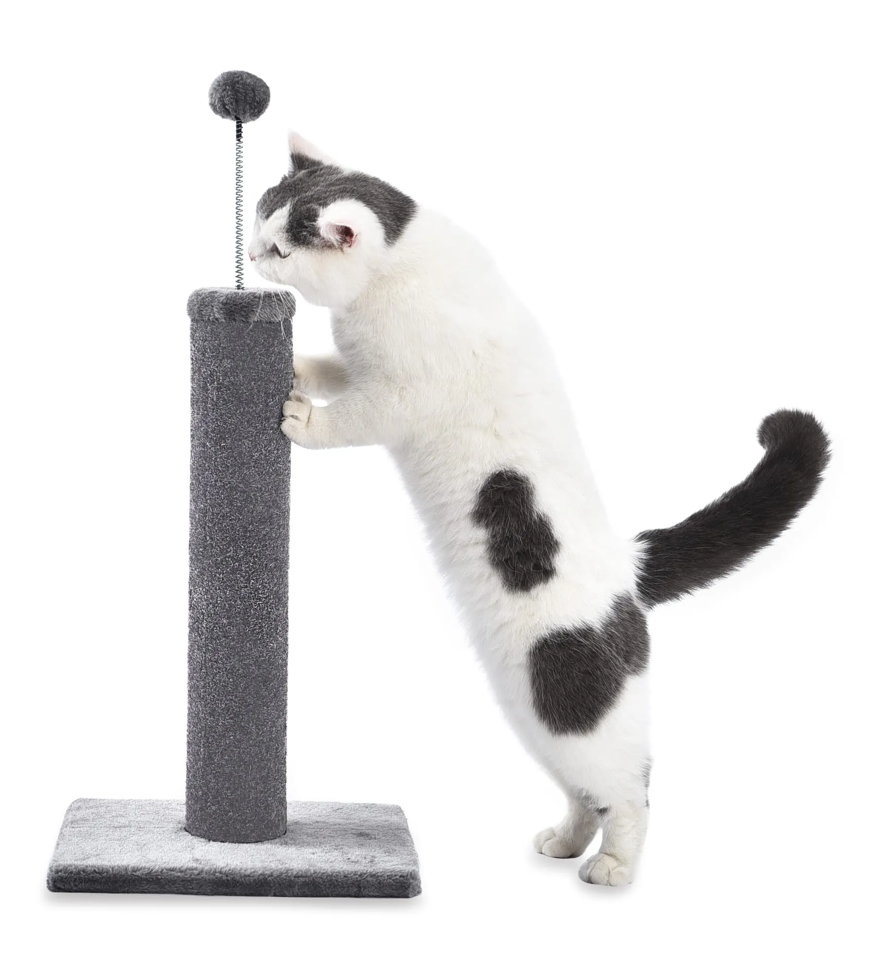 Cat Craft 20 Inch Carpet Cat Scratching Post, 2 Pack