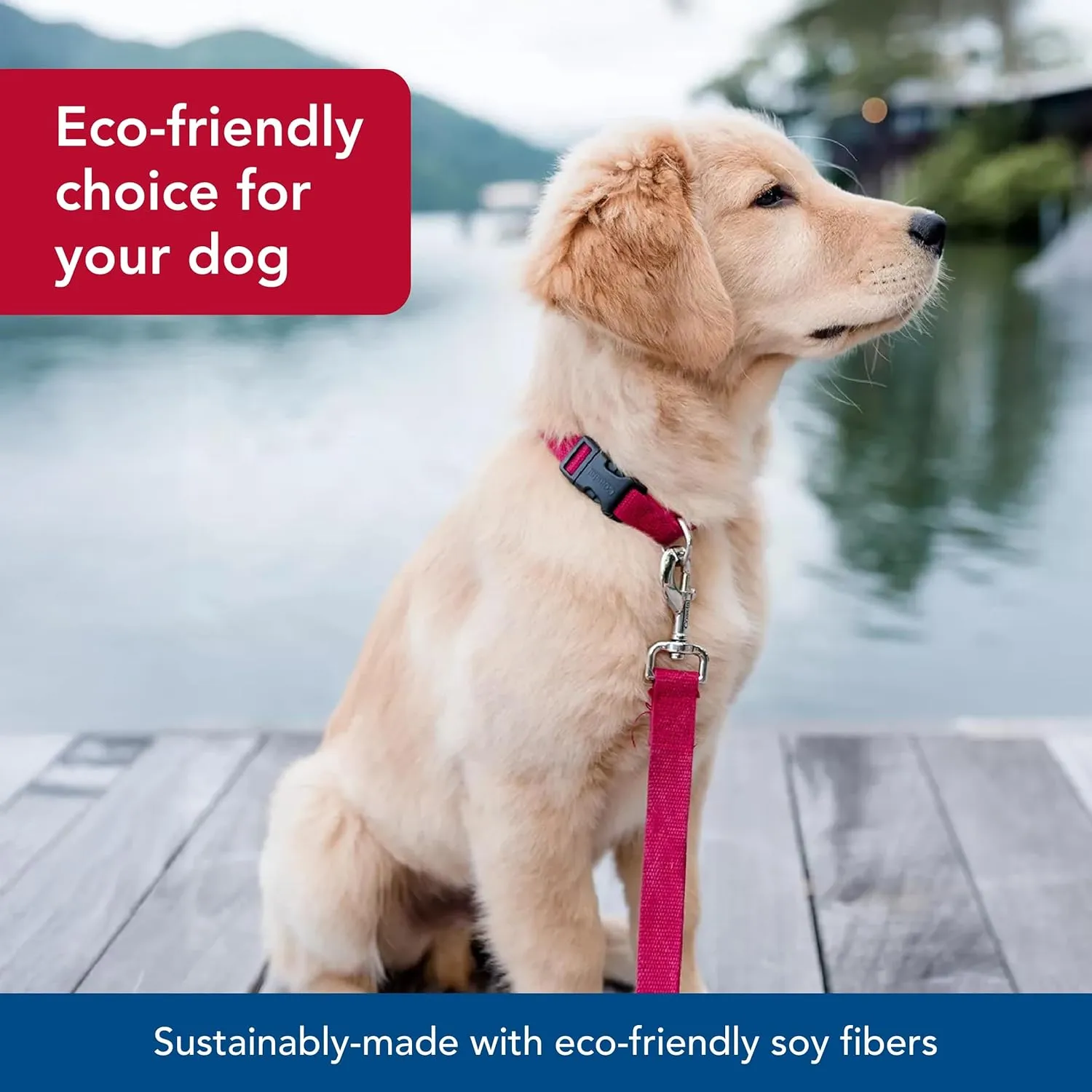 Coastal - New Earth Soy - Dog Leash, Cranberry, 5/8" x 06'