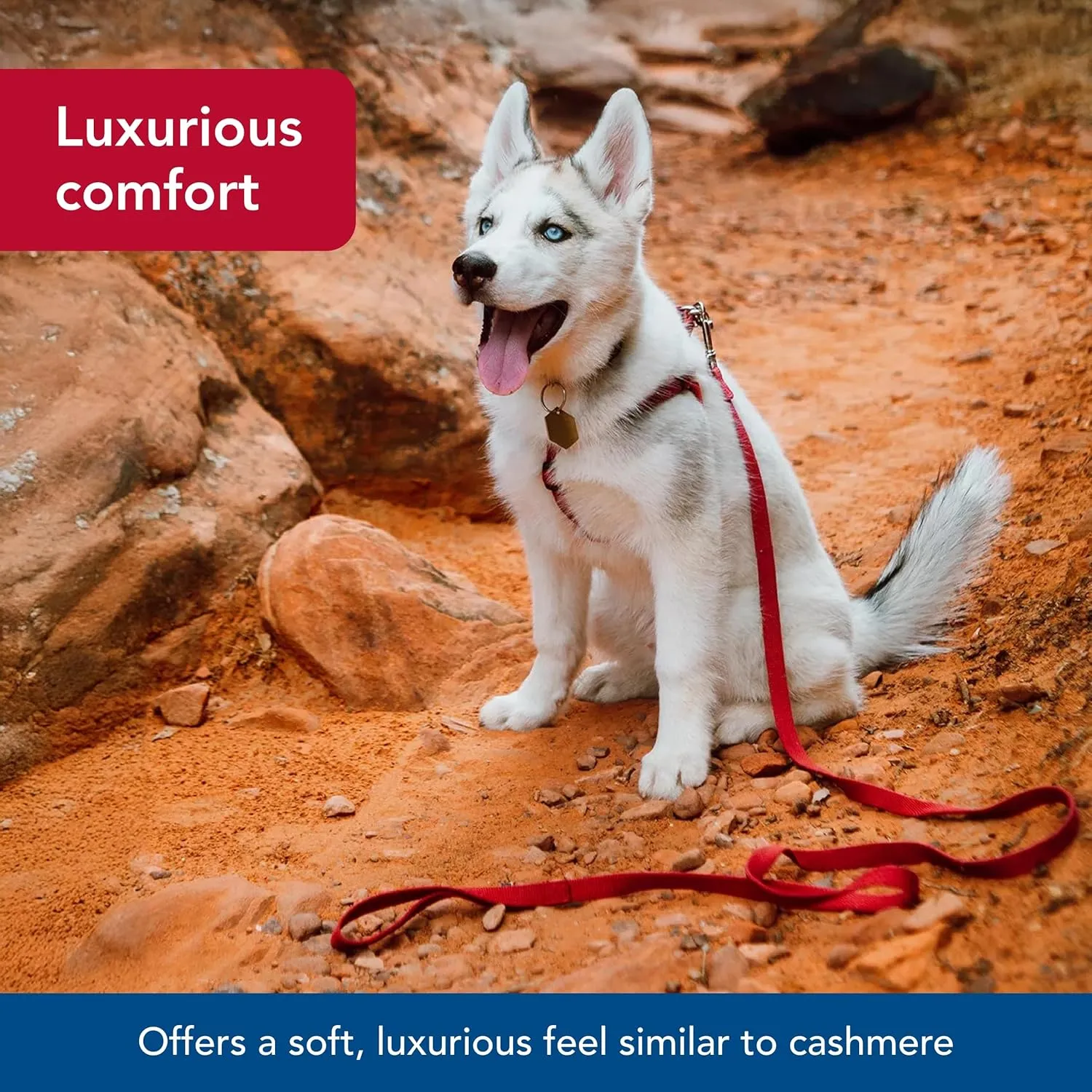 Coastal - New Earth Soy - Dog Leash, Cranberry, 5/8" x 06'