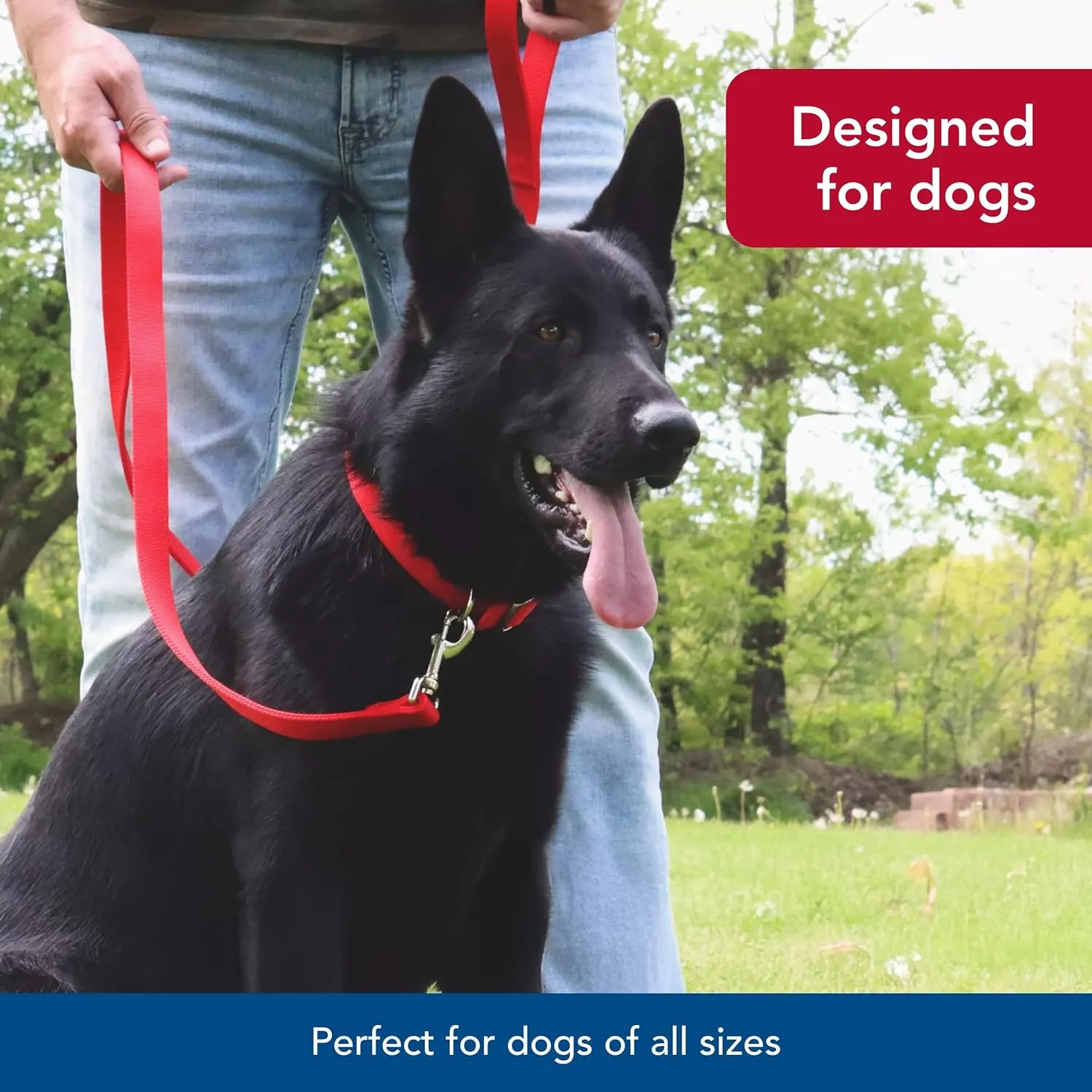 Coastal Pet Double-Ply Dog Leash - Bolt Snap Attachment to Collars and Harnesses - Nylon Dog Walking Leash for Small, Medium and Large Dogs - Black - 1" x 6'