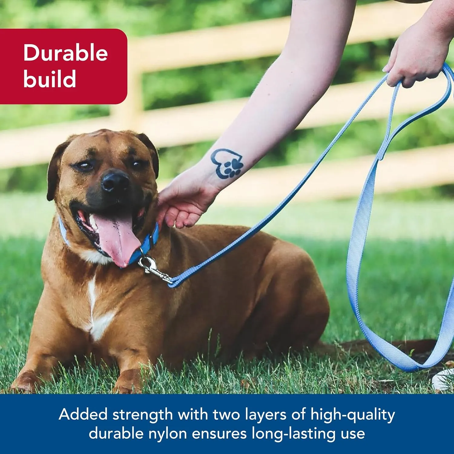 Coastal Pet Double-Ply Dog Leash - Bolt Snap Attachment to Collars and Harnesses - Nylon Dog Walking Leash for Small, Medium and Large Dogs - Black - 1" x 6'