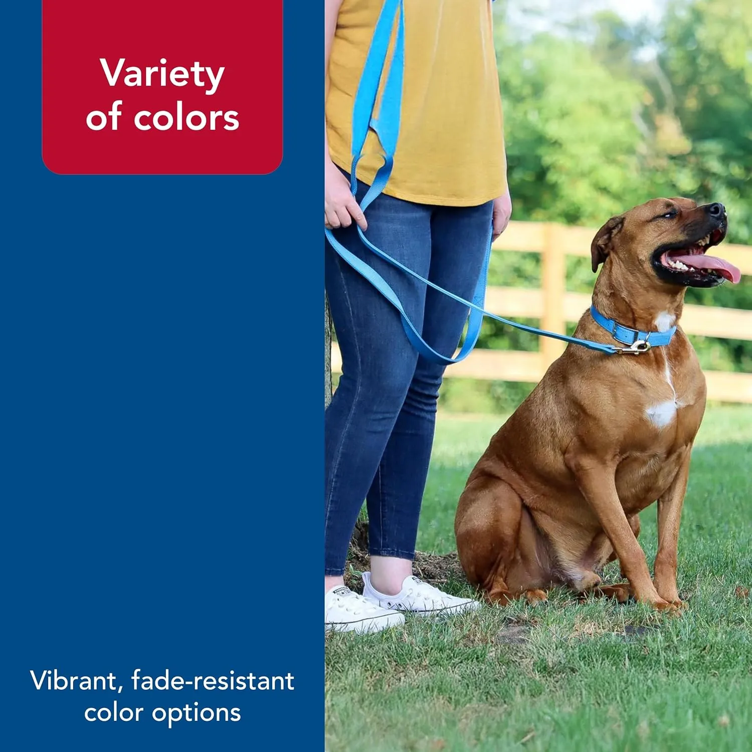 Coastal Pet Double-Ply Dog Leash - Bolt Snap Attachment to Collars and Harnesses - Nylon Dog Walking Leash for Small, Medium and Large Dogs - Black - 1" x 6'