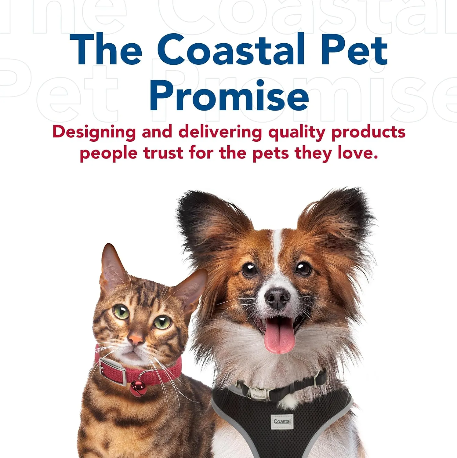 Coastal Pet Double-Ply Dog Leash - Bolt Snap Attachment to Collars and Harnesses - Nylon Dog Walking Leash for Small, Medium and Large Dogs - Black - 1" x 6'