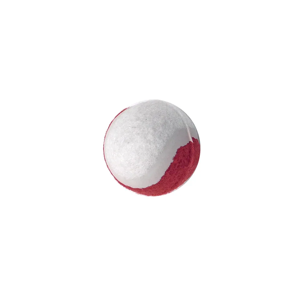 Dog Toy Set
