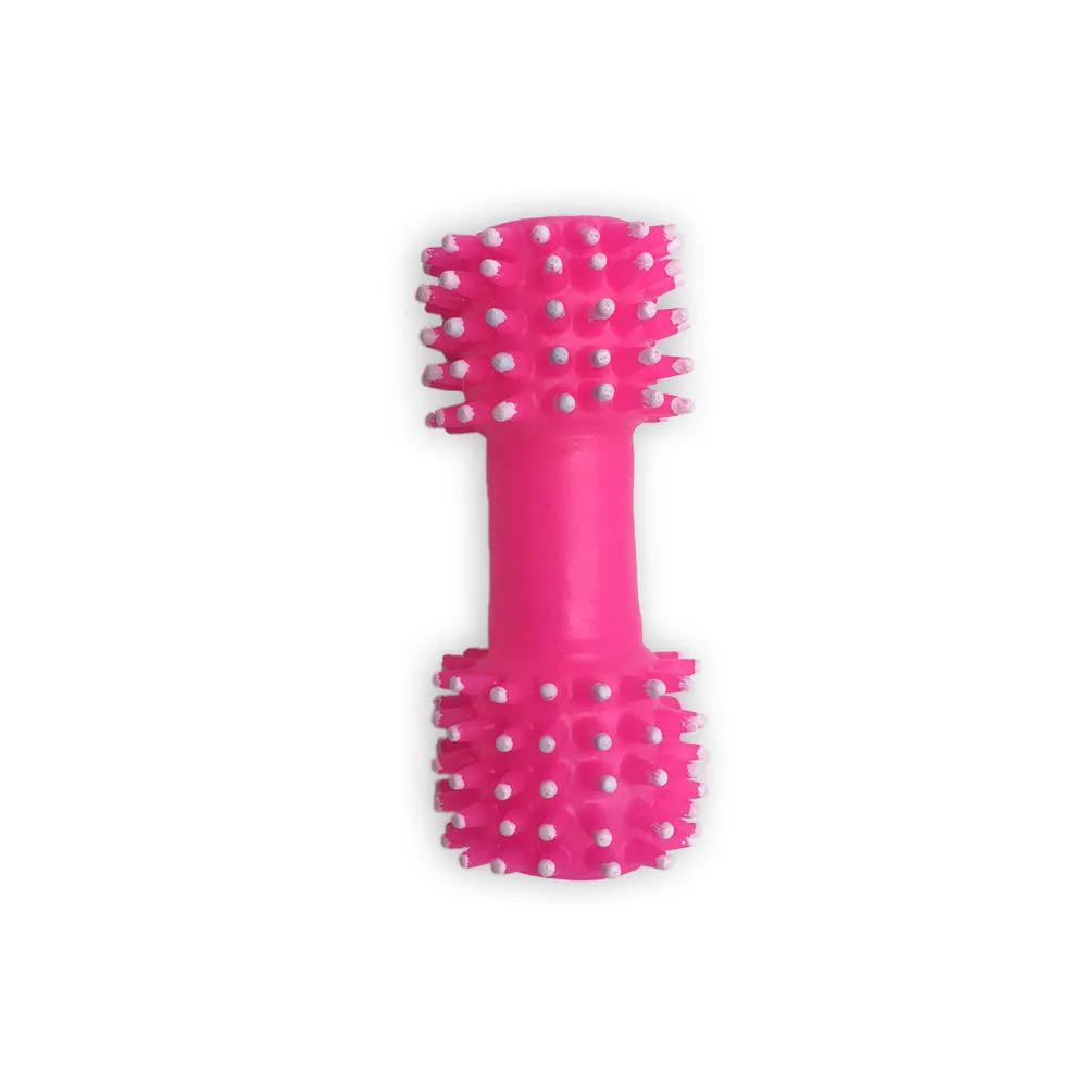 Dog Toy Set
