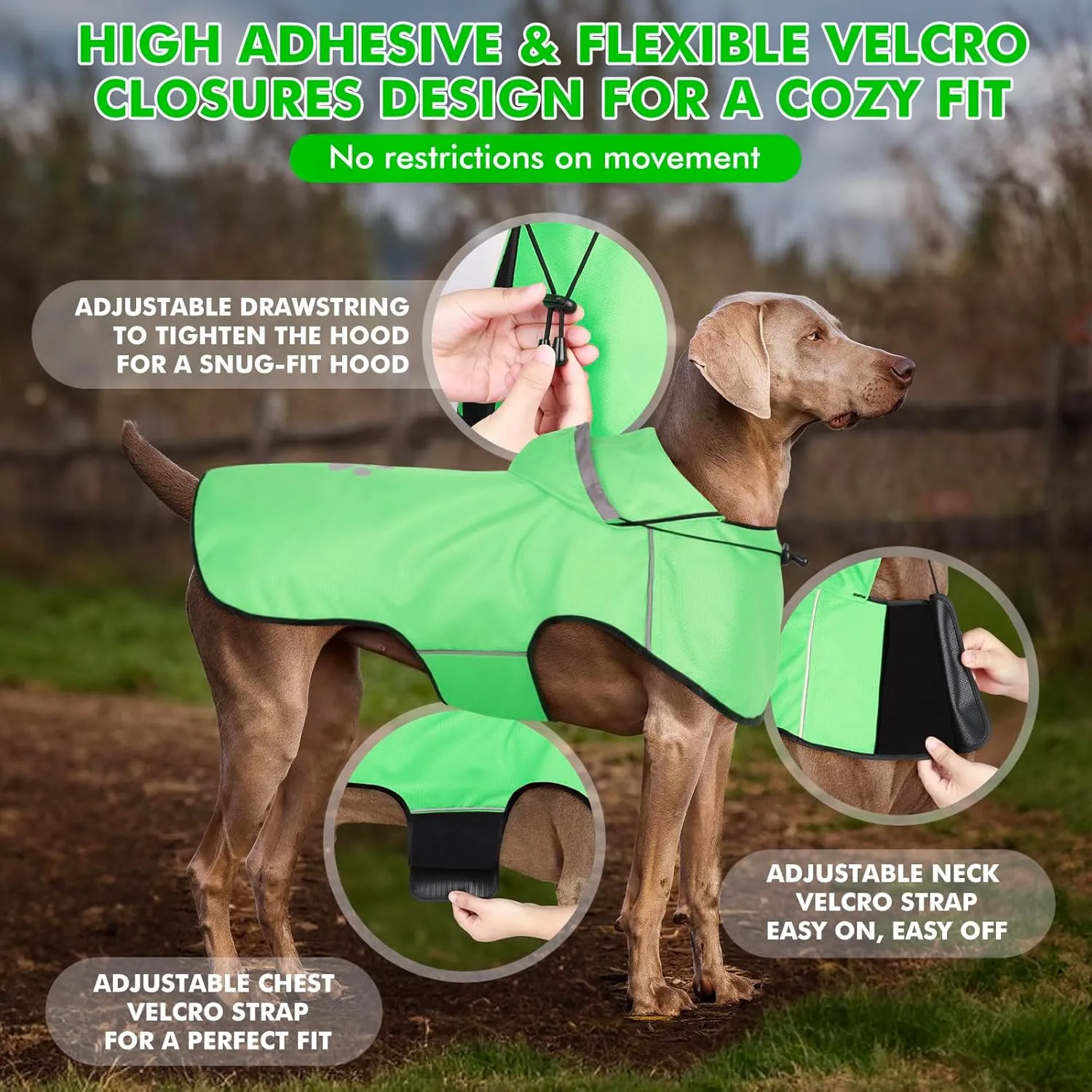 DQGHQME Dog Raincoat, Medium Dogs, Green, Waterproof, Reflective, Polyester, All Seasons, Machine Wash, Medium Breeds