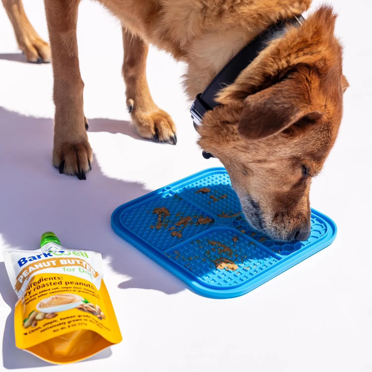 Durable Dog Chew Toy, Lick mat for Dog Treats and Peanut Butter Squeeze Pouches, Small Dog All Natural Rubber Dog Bone. (Aqua, Small Dog)