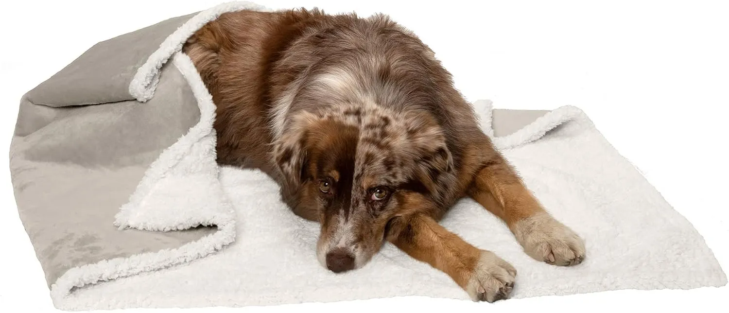 Furhaven ,, -  - ,