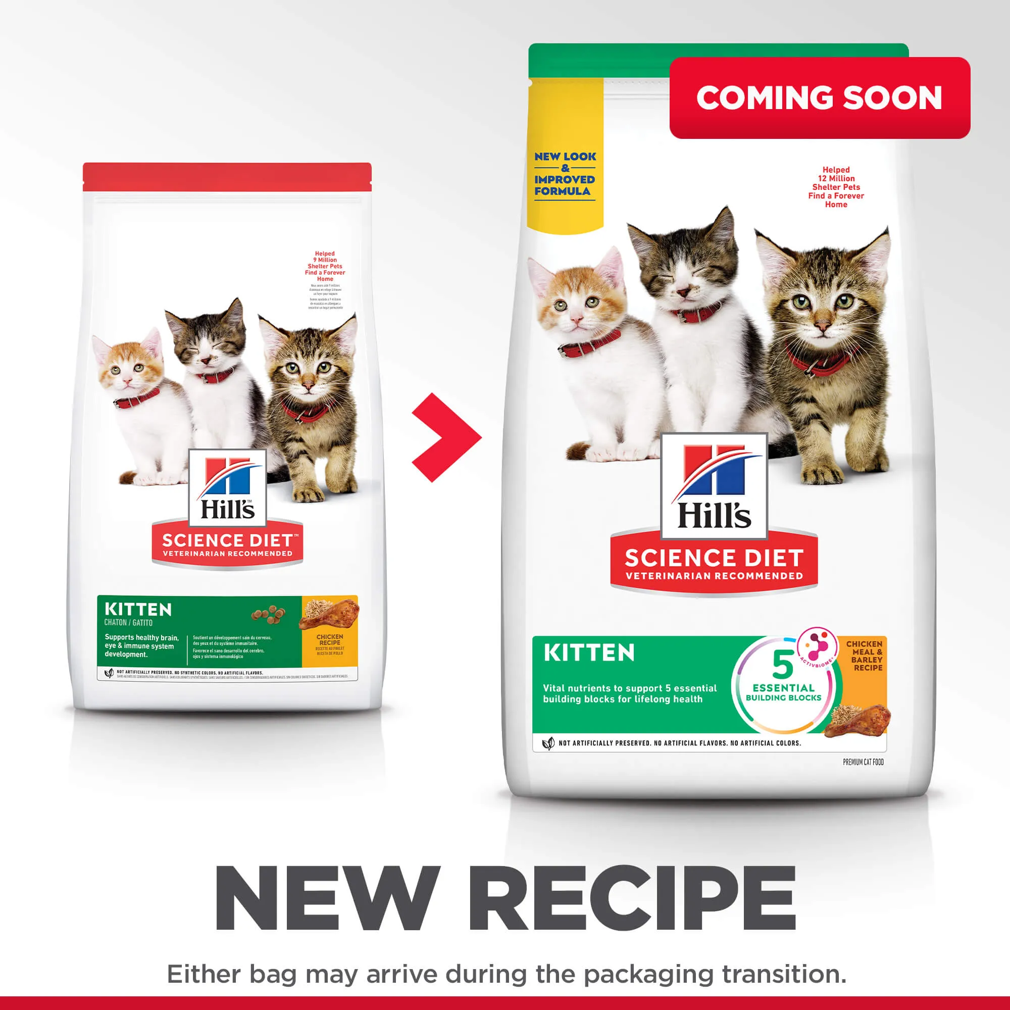 Hill's Science Diet Kitten Chicken Dry Cat Food
