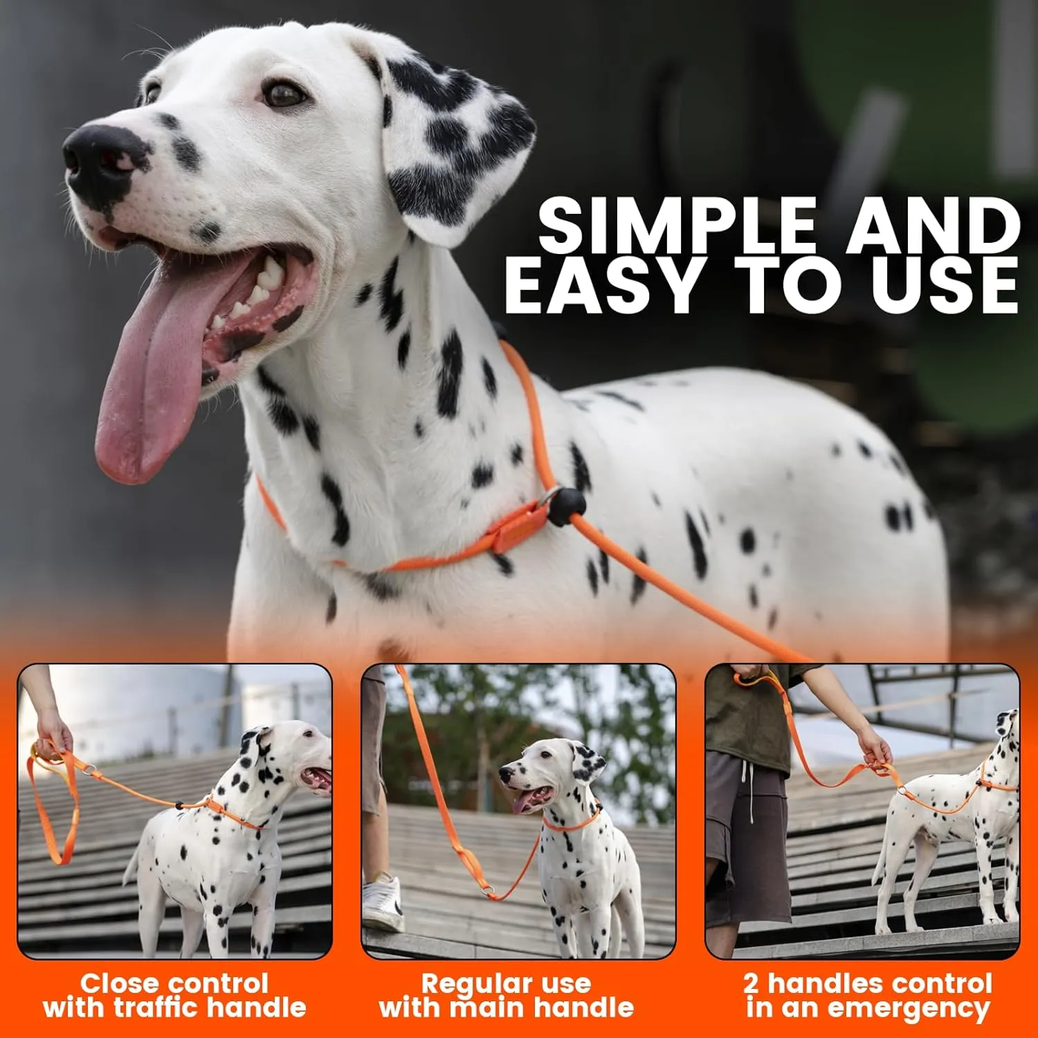 Howgo Dog Slip Lead Dog Leash, Training Lead, No-Pull Slip Leash and Collar, Heavy Duty & Durable Nylon, Padded Handle, for All Breeds (MintGreen, 5FT)