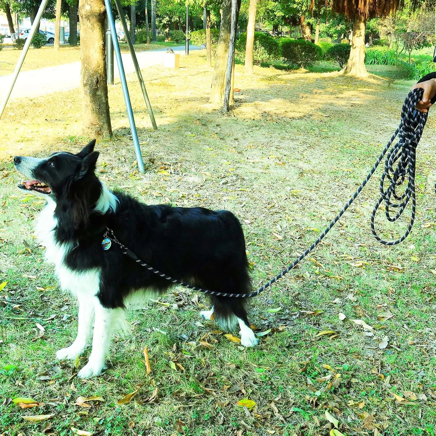 Long Dog Leash for Dog Training 16FT/30FT/50FT/100FT, Reflective Dog Leash with Lockable Hook, Heavy Duty Dog Lead Tie Out Rope for Large Medium Small Dogs Outside Walking, Playing, Camping, or Yard