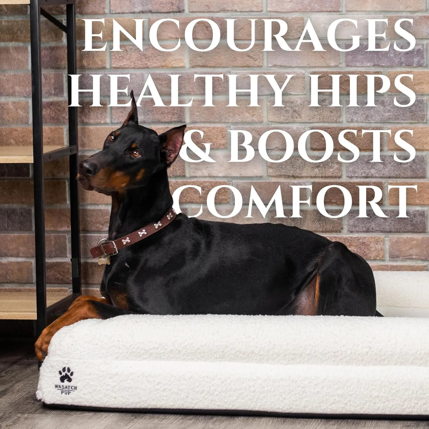 Luxury Boucle Fabric Orthopedic Dog Bed with Memory Foam | Breathable Comfort and Washable Dog Couch Bed with Waterproof Liner & Cover | Sofa Beds for Medium Dogs - Bone 37"x30"x7.7"