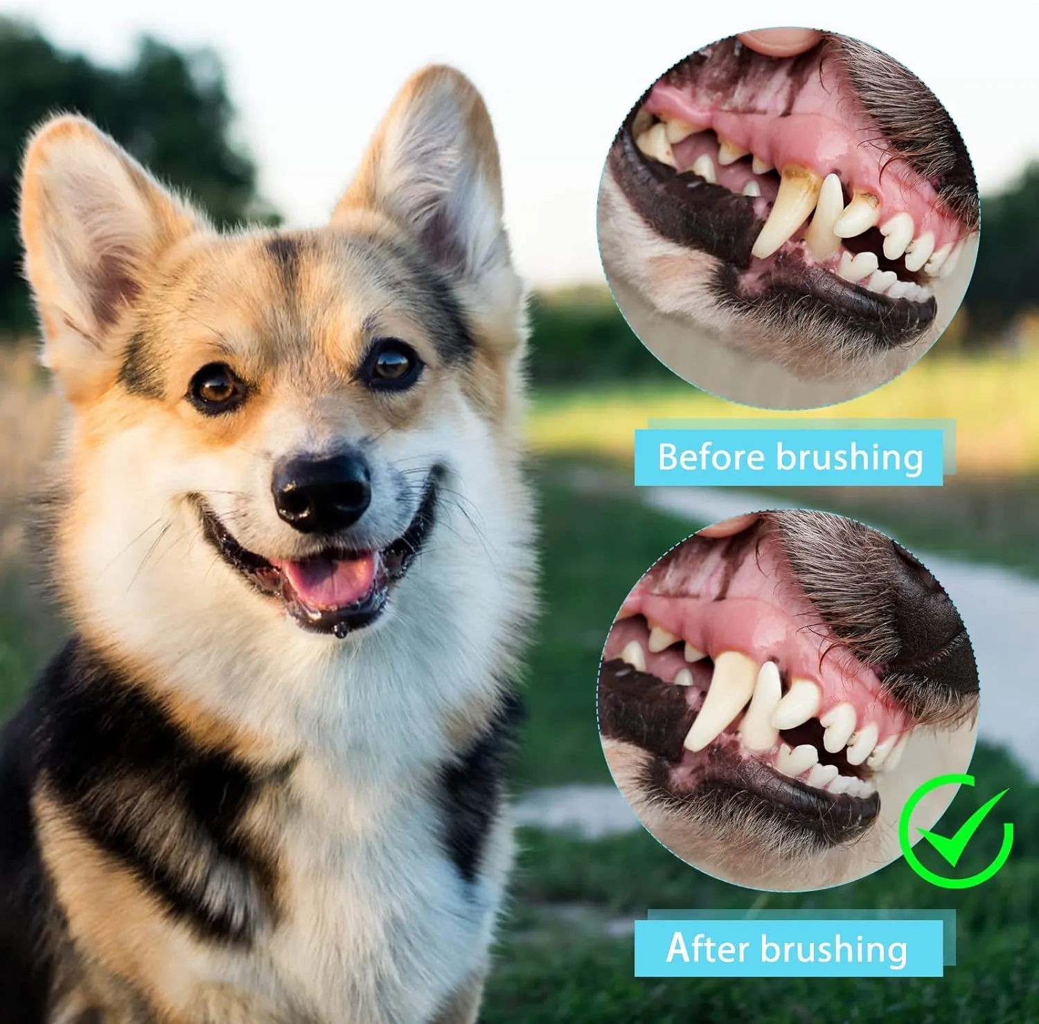 NEW Dog Toothbrush, [4 Pack] Hogrzinne 360º Dog Cat Finger Toothbrush Kit, Ergonomic Design, BPA Free, Full Surround Silicone Bristles for Easy Teeth Cleaning, Dental Care for Puppies, Cats