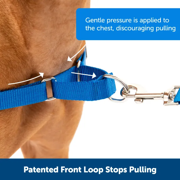 No-Pull Leash Training Dog Harness
