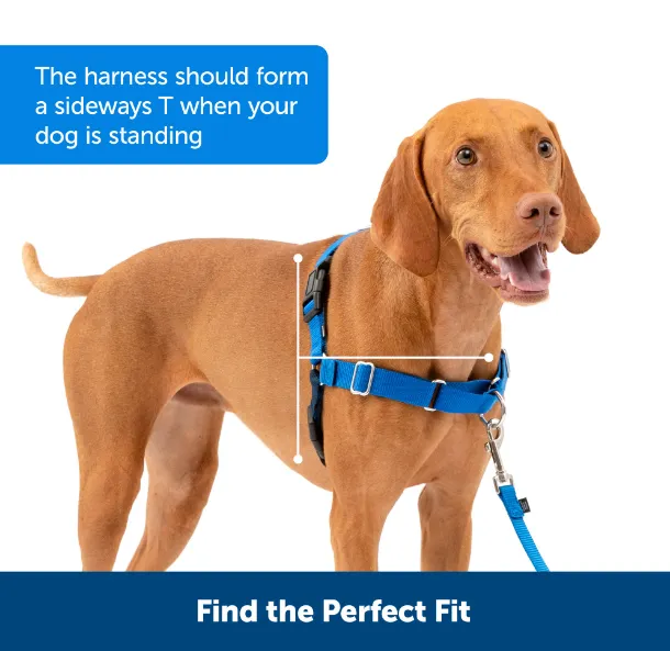 No-Pull Leash Training Dog Harness