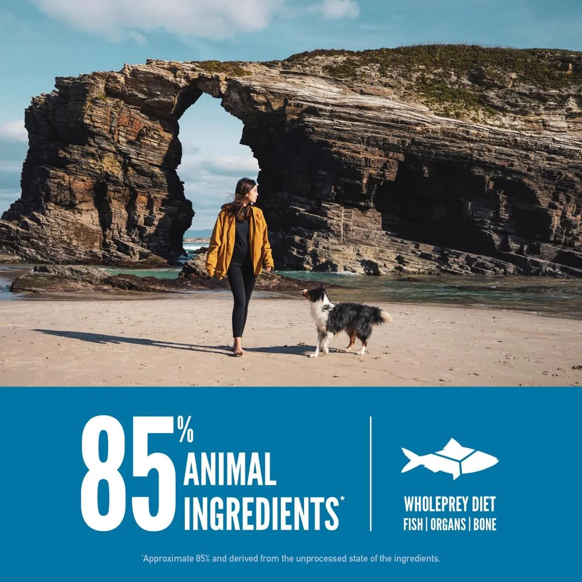 ORIJEN Six Fish Dry Dog Food, Grain Free and Chicken Free Dog Food, Fresh or Raw Ingredients, 13lb