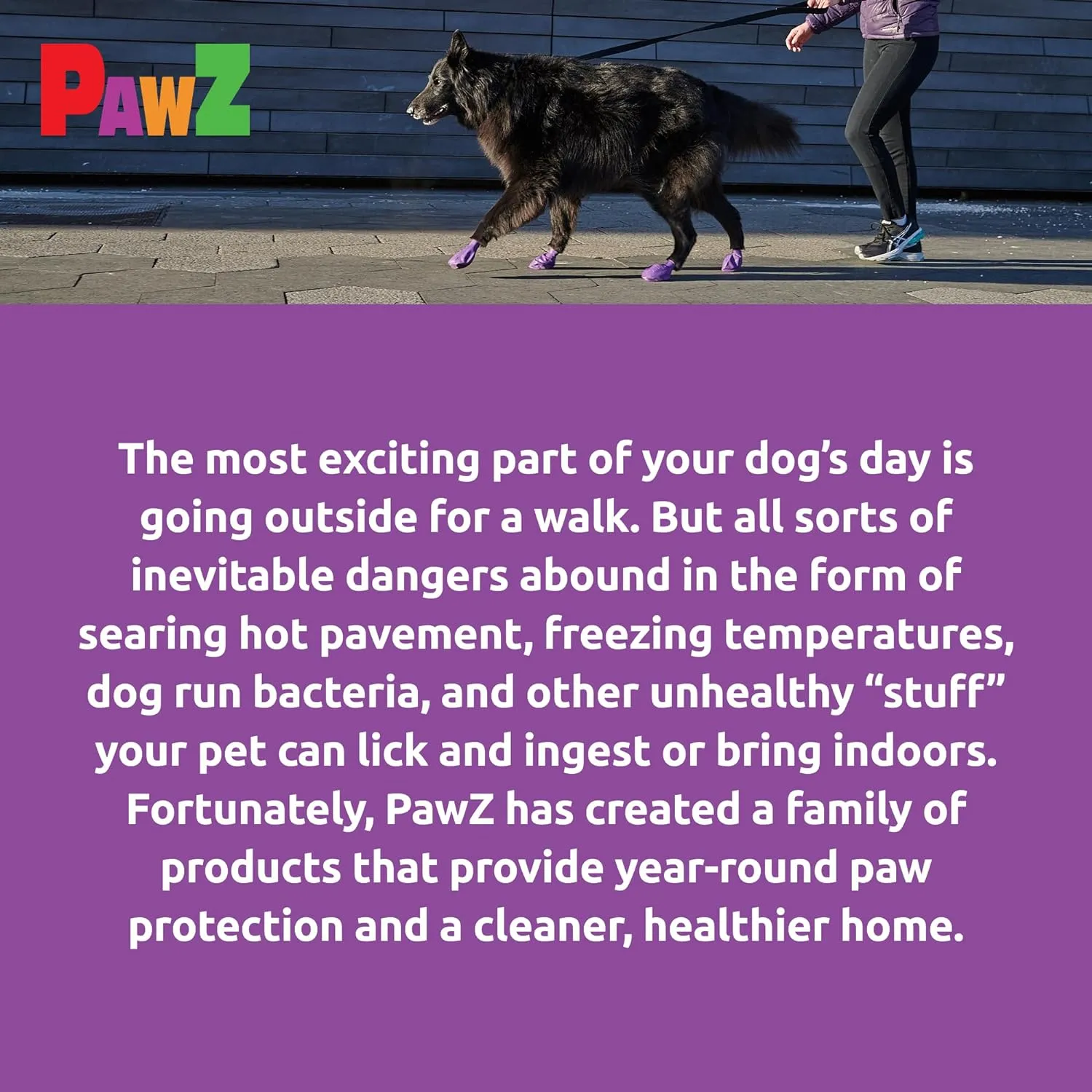 PawZ Rubber Dog Boots for Paws up to 4" - Dog Booties for Hot Pavement, Anti Slip Dog Socks, 12 Reusable Paws Waterproof Dog Boots, L, Purple