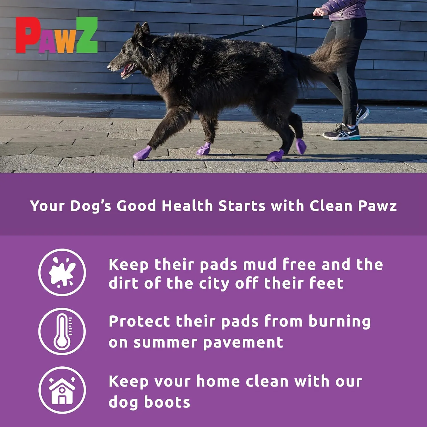PawZ Rubber Dog Boots for Paws up to 4" - Dog Booties for Hot Pavement, Anti Slip Dog Socks, 12 Reusable Paws Waterproof Dog Boots, L, Purple