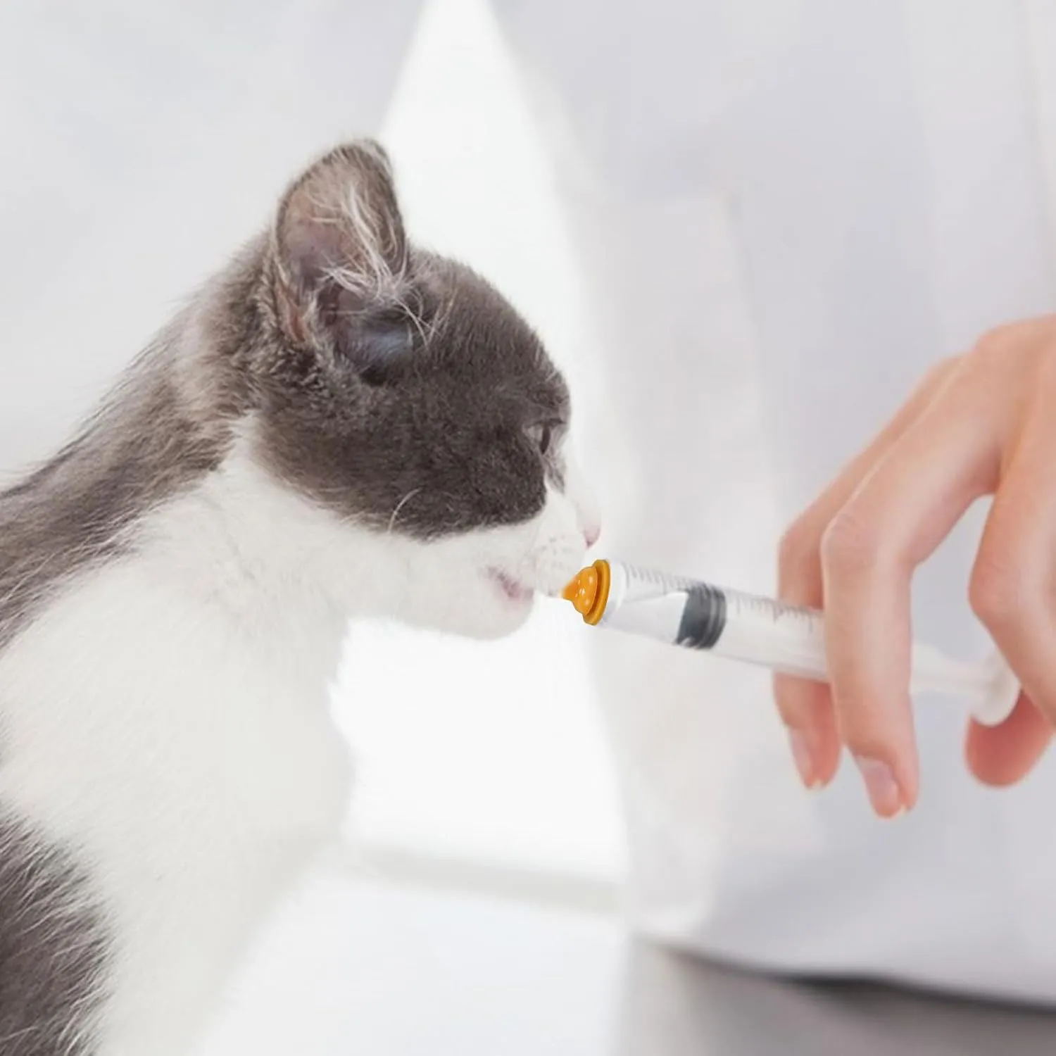 Pet Feeding Syringe with Nipple, Silicone Feeding Tools for Kitten Puppy Feeding Syringe for Newborn Cat Dog Small Animals Rabbits (1ml 3ml 5ml  10ml)