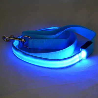 PET LED LEASH