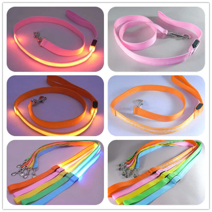 PET LED LEASH
