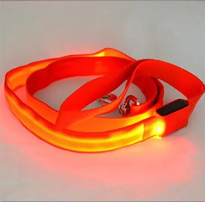 PET LED LEASH