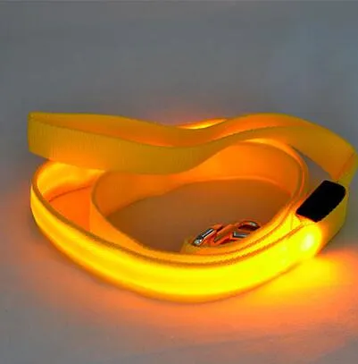 PET LED LEASH