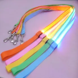 PET LED LEASH