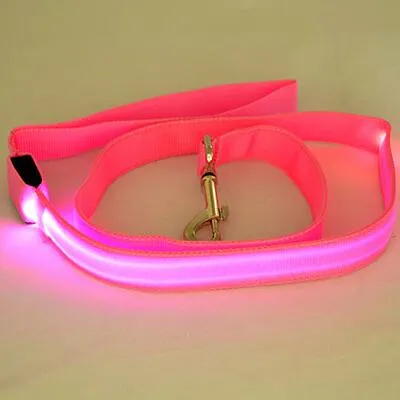 PET LED LEASH