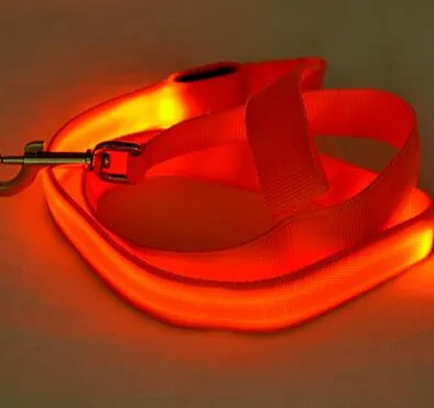 PET LED LEASH