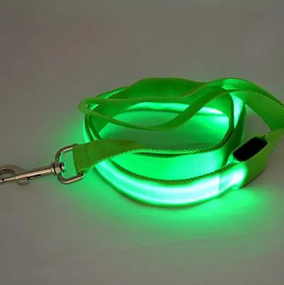 PET LED LEASH