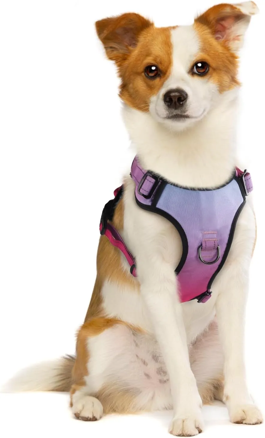 QQPETS , 2 ,,,,