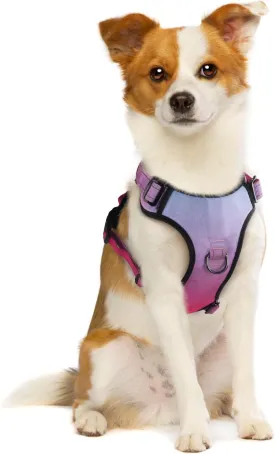 QQPETS , 2 ,,,,