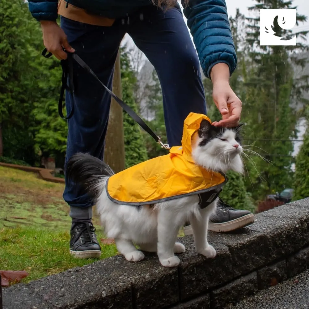 RC Pets Packable Rain Poncho, Dog Coat, Medium, Raindrops
