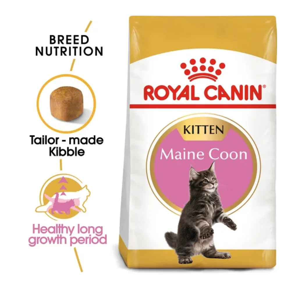 Royal Canin Maine Coon Kitten Cat Dry Food