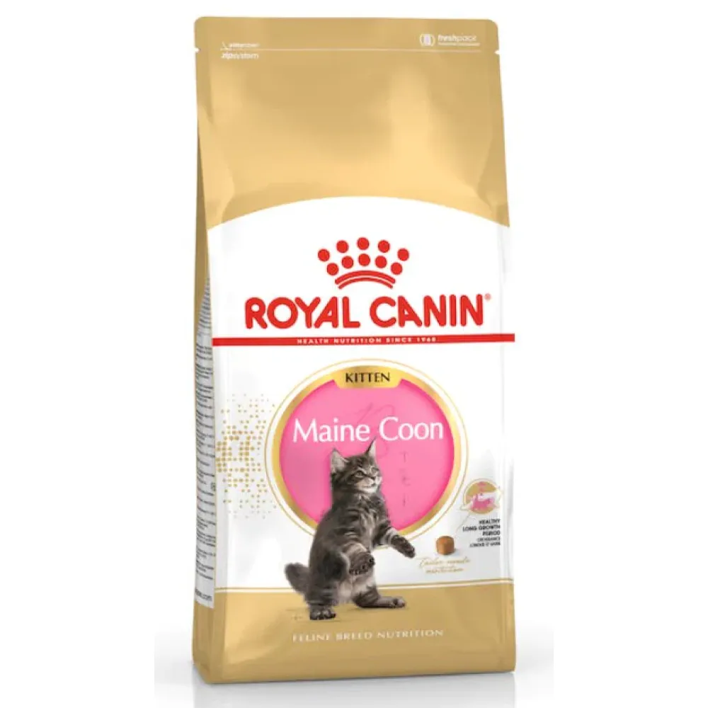 Royal Canin Maine Coon Kitten Cat Dry Food