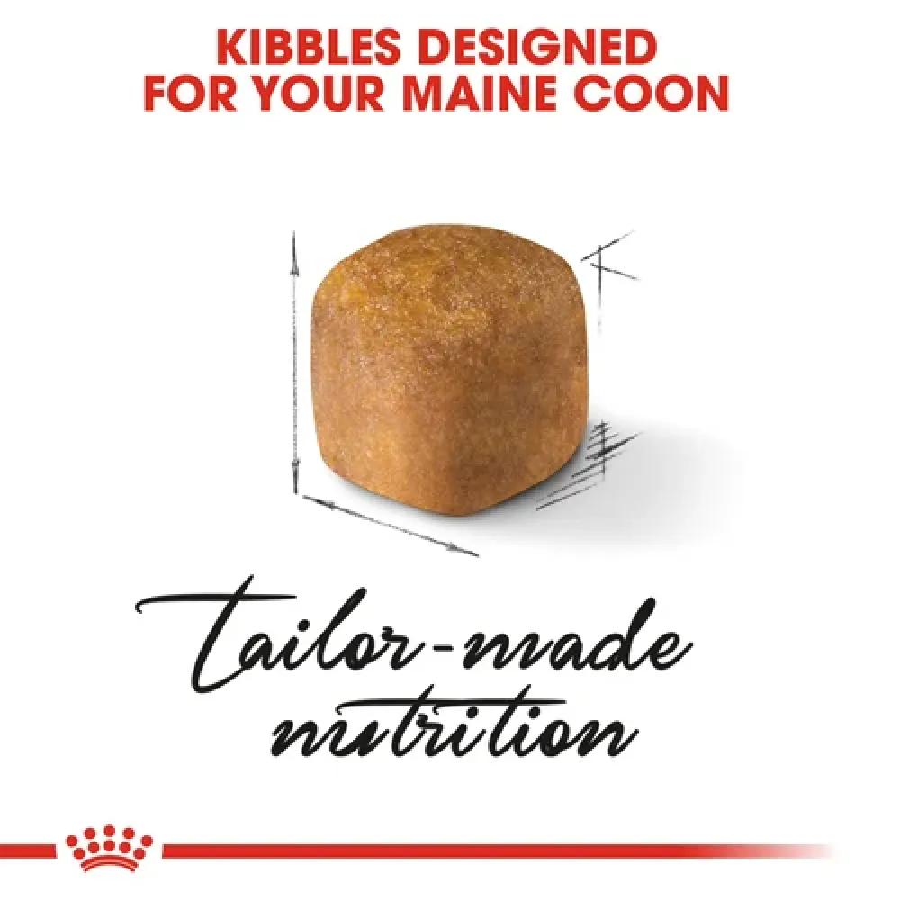 Royal Canin Maine Coon Kitten Cat Dry Food