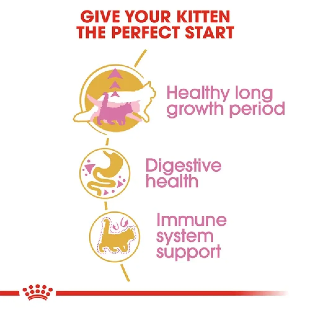 Royal Canin Maine Coon Kitten Cat Dry Food
