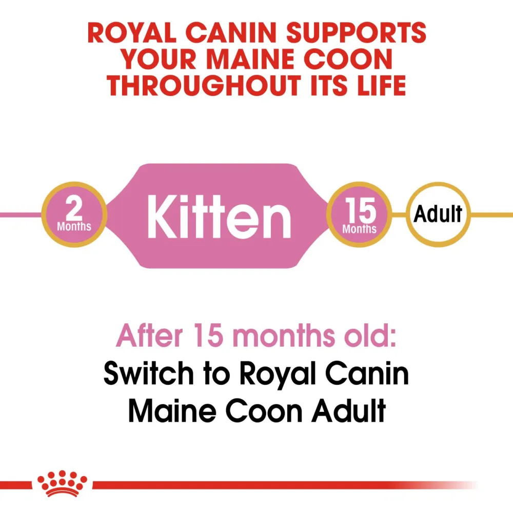 Royal Canin Maine Coon Kitten Cat Dry Food