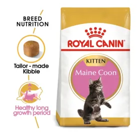 Royal Canin Maine Coon Kitten Cat Dry Food