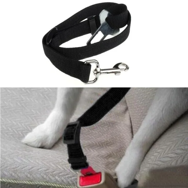 Seat Belt Pet Harness
