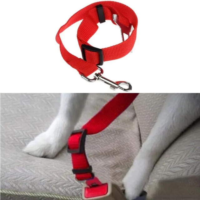 Seat Belt Pet Harness