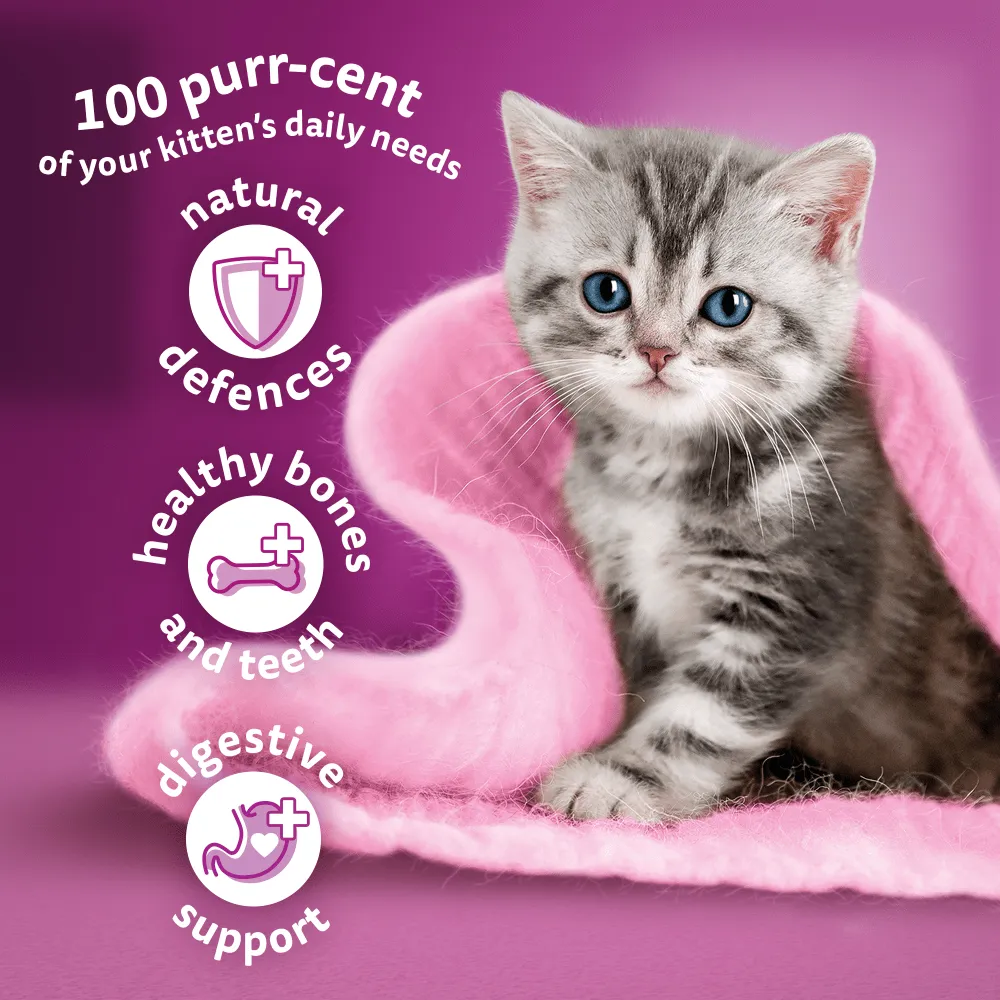 Whiskas Kitten 2-12 Months with Chicken Dry Kitten Food