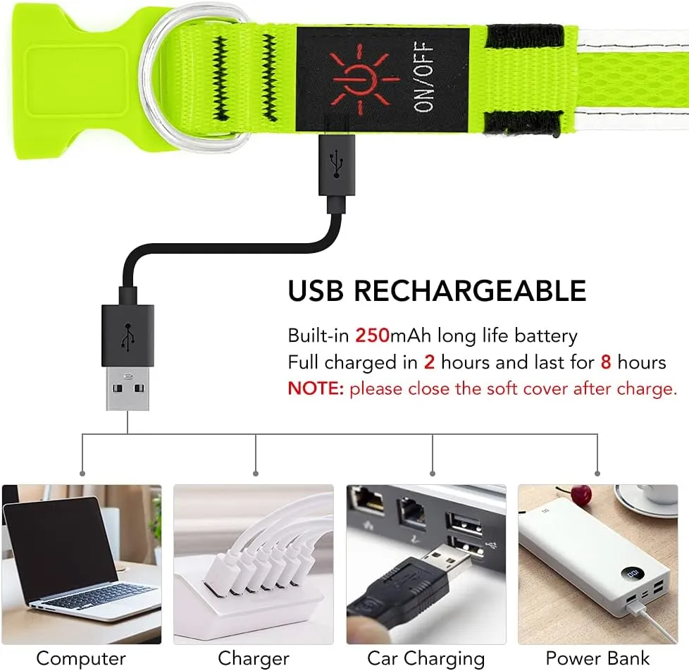 YFbrite Light up Dog Collar, USB Rechargeable LED Puppy Collar Super Bright Adjustable Glowing Dog Lights for Night Walking (Green, Large)