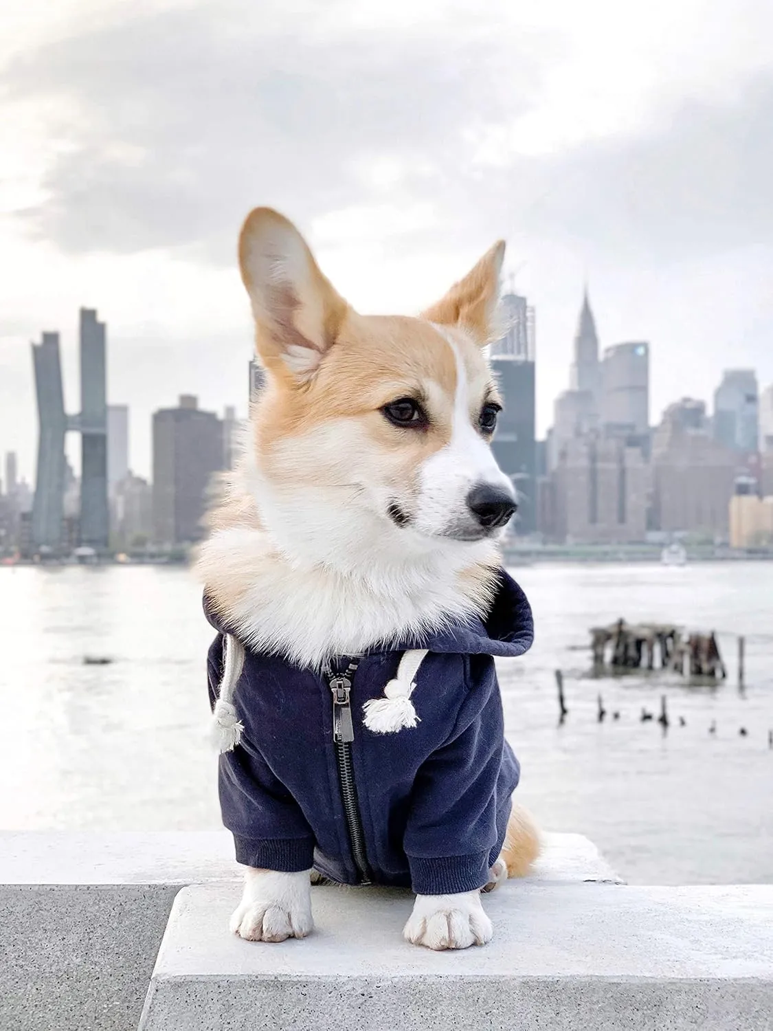 Zip Up Adventure Dog Hoodie with Hook & Loop Pockets and Adjustable Drawstring Hood - XXS to XXL - Multiple Colors - Comfortable & Versatile Dog Hoodies (Navy, XS)
