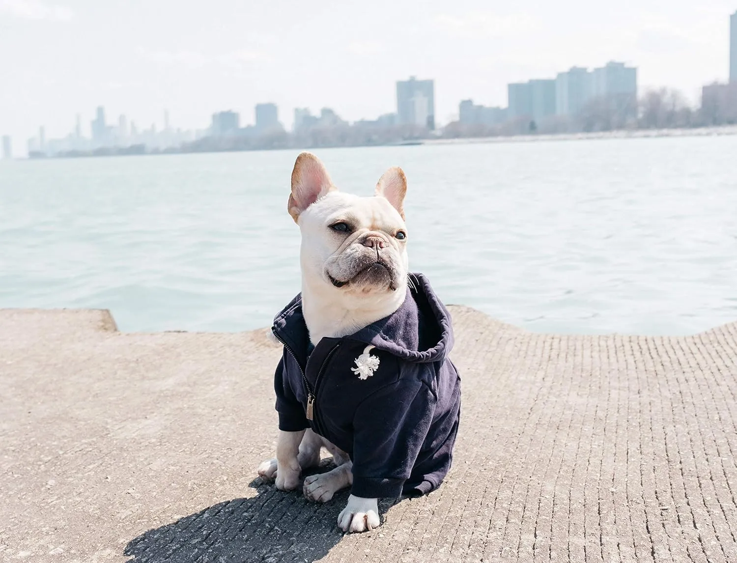 Zip Up Adventure Dog Hoodie with Hook & Loop Pockets and Adjustable Drawstring Hood - XXS to XXL - Multiple Colors - Comfortable & Versatile Dog Hoodies (Navy, XS)